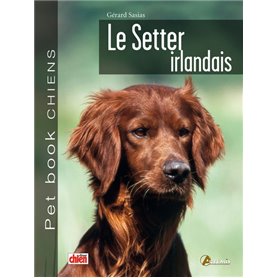 Le setter irlandais