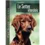 Le setter irlandais