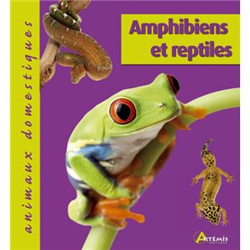 Amphibiens et reptiles