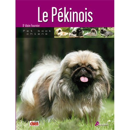 Le pékinois