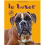 Le boxer