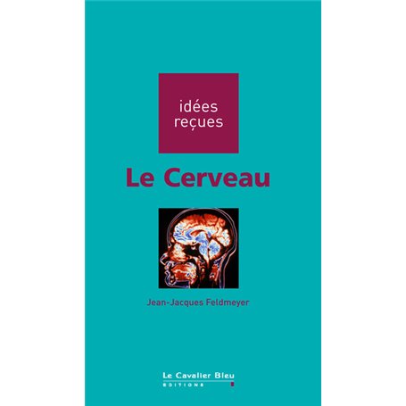 Le cerveau