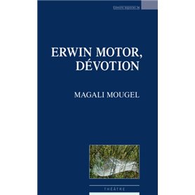 Erwin motor