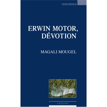 Erwin motor