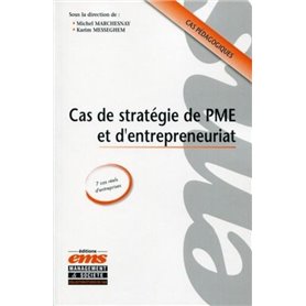 Cas de stratégie de PME et d'entrepreneuriat