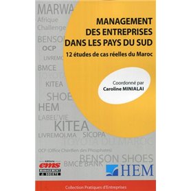 Management des entreprises dans les pays du sud