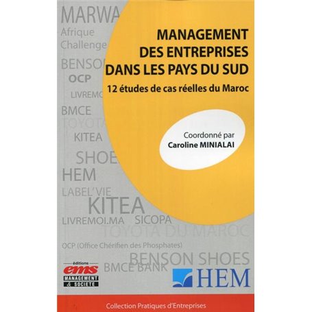 Management des entreprises dans les pays du sud