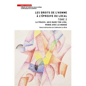 Les droits de l'homme à l'épreuve du local - Tome 2