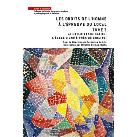 Les droits de l'homme à l'épreuve du local - Tome 3