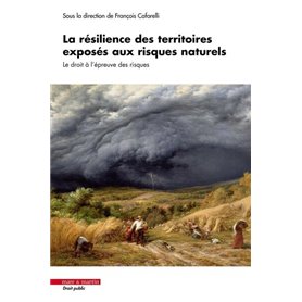 La résilience des territoires exposés aux risques naturels