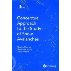 Conceptual approach to the study of snow avalanches