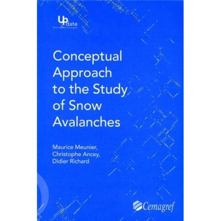 Conceptual approach to the study of snow avalanches