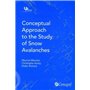 Conceptual approach to the study of snow avalanches