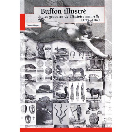 BUFFON ILLUSTRE  LES GRAVURES DE L HISTOIRE NATURELLE