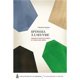 Spinoza à l'oeuvre