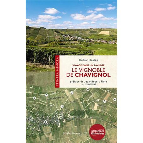 Le vignoble de Chavignol