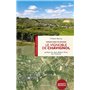 Le vignoble de Chavignol