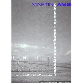 MARTIN AMIS LE POST MODERNISME EN QUESTION