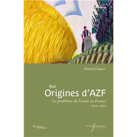 Aux origines d'AZF