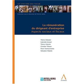 la rémunération du dirigeant d'entreprise