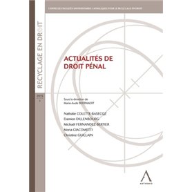 actualités de droit pénal