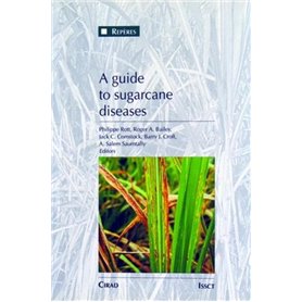 A guide to sugarcane diseases