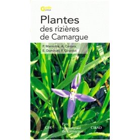 Plantes des rizières de Camargue