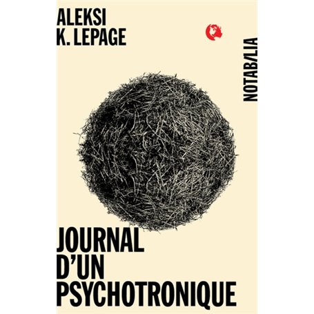 JOURNAL D UN PSYCHOTRONIQUE