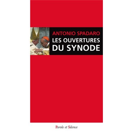 Le Synode sur la famille - Portes ouvertes