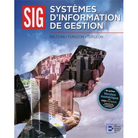 Systèmes d'information de gestion