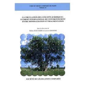 LA CIRCULATION DES CONCEPTS JURIDIQUES : LE DROIT INTERNATIONAL DE L'ENVIRONNEME