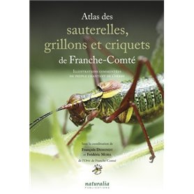 Atlas des sauterelles, grillons et criquets de Franche-Comté