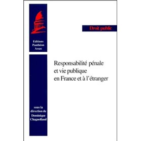 RESPONSABILITÉ PÉNALE ET VIE PUBLIQUE EN FRANCE ET À L'ÉTRANGER