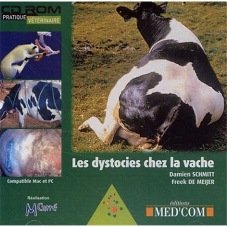 LES DYSTOCIES CHEZ LA VACHE