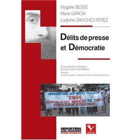 DÉLITS DE PRESSE ET DÉMOCRATIE