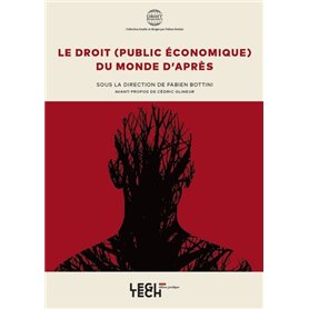 Le droit (public économique) du monde d'après