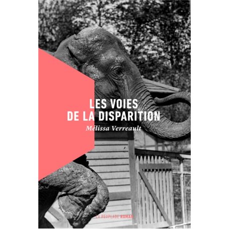 Les voies de la disparition