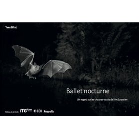 Ballet nocturne