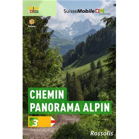 LA SUISSE A PIED CHEMIN PANORAMA ALPIN