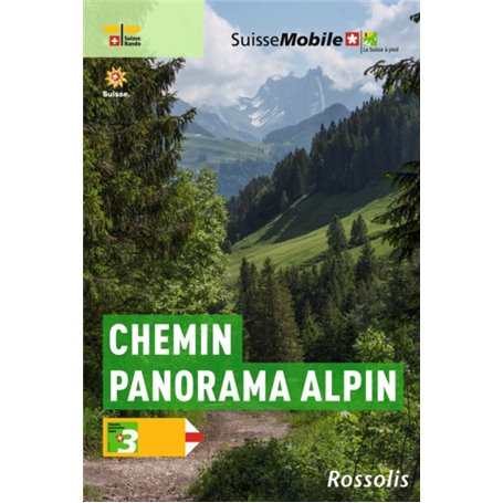 LA SUISSE A PIED CHEMIN PANORAMA ALPIN