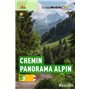 LA SUISSE A PIED CHEMIN PANORAMA ALPIN