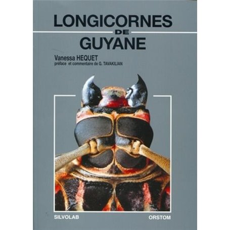 Longicornes de Guyane