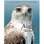 AIGLE DE BONELLI - MEDITERRANEEN MECONNU