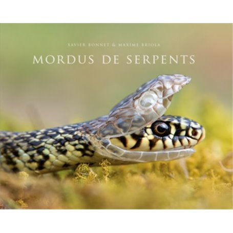 Mordus de serpents