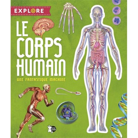 Le Corps Humain