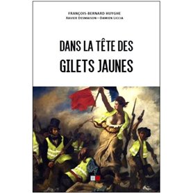 Dans la tête des gilets jaunes