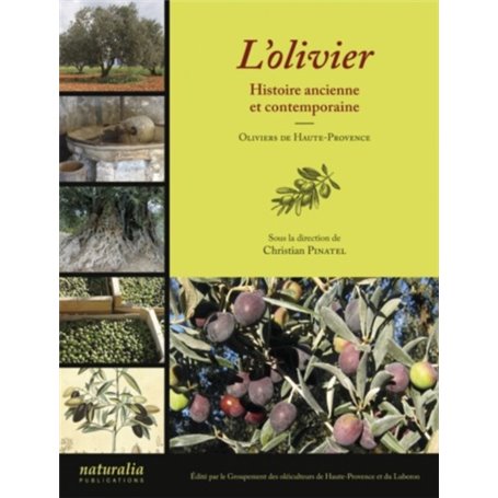 L'Olivier - Histoire ancienne et contemporaine