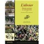 L'Olivier - Histoire ancienne et contemporaine