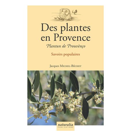 Des plantes en Provence