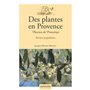 Des plantes en Provence